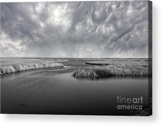 Landscape Acrylic Print featuring the photograph Serenity Before The Storm by DB Hayes