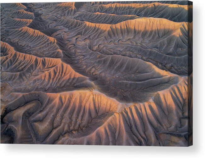 Southwest Acrylic Print featuring the photograph Serpentine by Dustin LeFevre