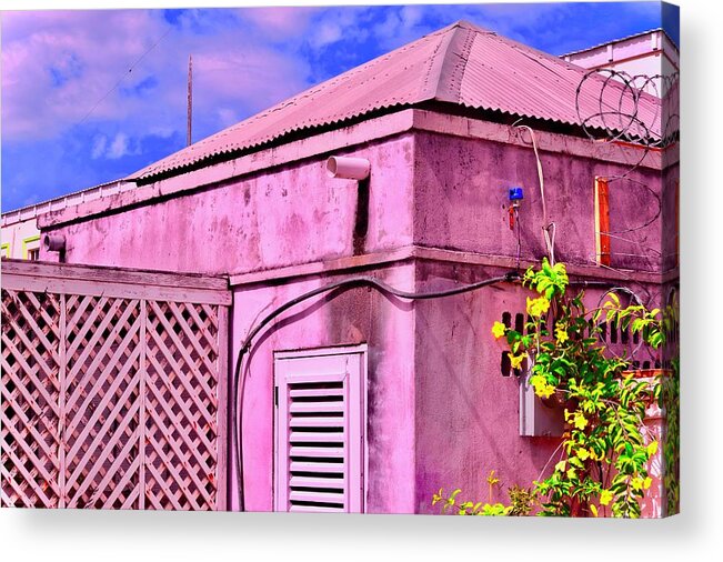 Lattice Acrylic Print featuring the photograph Shabby She Shed by Debra Grace Addison