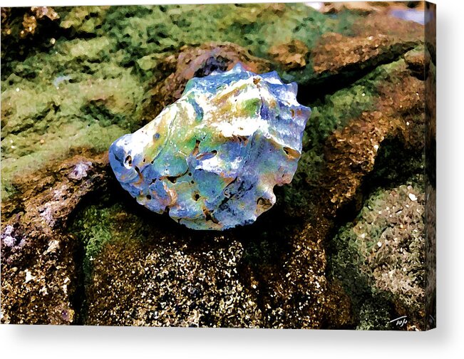 Sea Shell Acrylic Print featuring the photograph Shell on Jetty by Tom Johnson