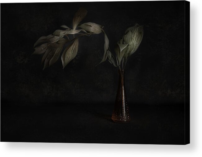 Vase Acrylic Print featuring the photograph Sideways by iek K?ral