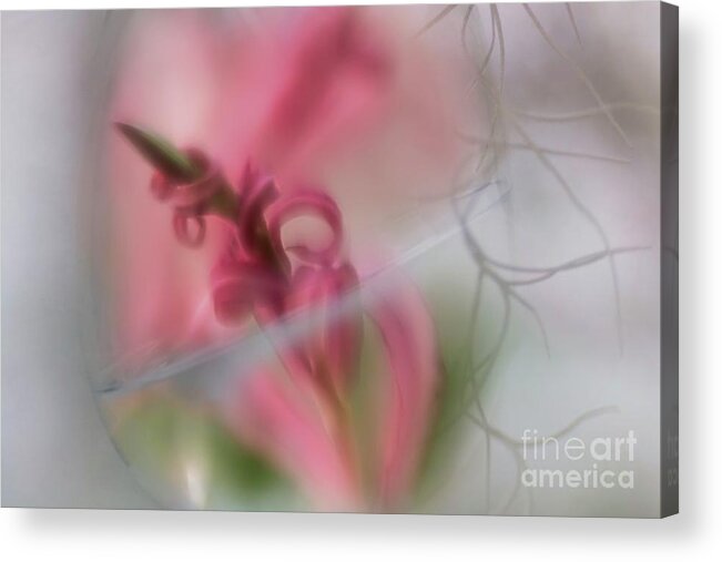 Twirly Pink And Green Leaves Acrylic Print featuring the photograph Simply Magical by Mary Lou Chmura