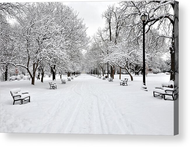 Snow Acrylic Print featuring the photograph Snow Covered Benches And Trees In by Shobeir Ansari