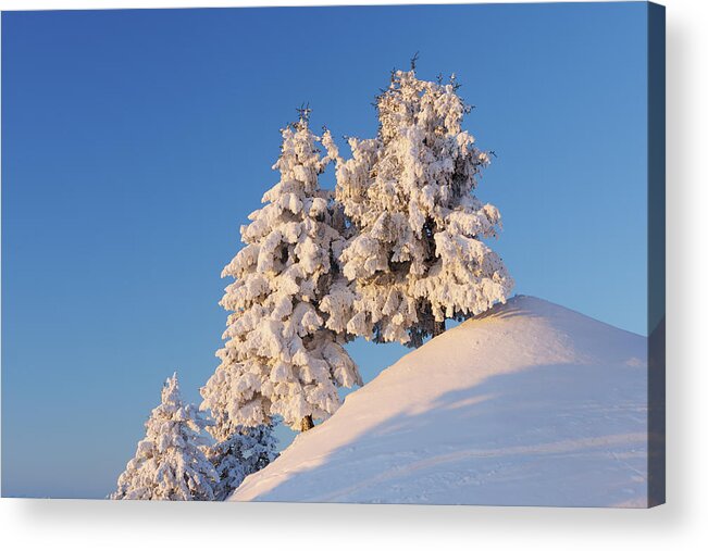Scenics Acrylic Print featuring the photograph Snow Covered Trees On Top Of Hill by Martin Ruegner