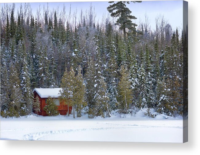 Cabin Acrylic Print featuring the photograph Snowy Cabin in the Woods by Susan Rissi Tregoning