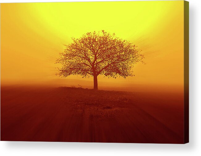 Scenics Acrylic Print featuring the photograph So Lonely by Philippe Sainte-laudy Photography