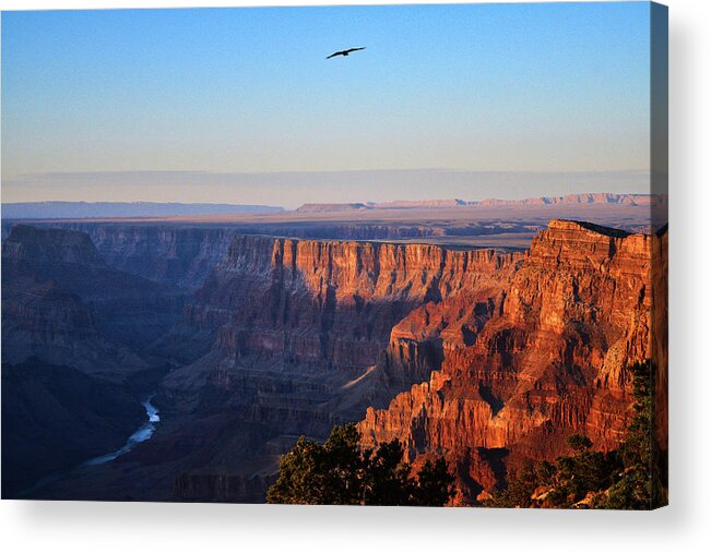 Grand Canyon Acrylic Print featuring the photograph Soaring Over the Grand Canyon by Chance Kafka
