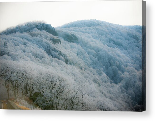 Blue Ridge Acrylic Print featuring the photograph Soft Hoarfrost by Mark Duehmig