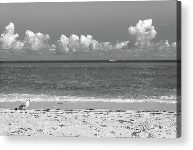 Beach Acrylic Print featuring the photograph Solitude by Alison Frank