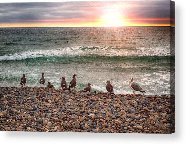 Sunset Acrylic Print featuring the photograph Spectators by Alison Frank