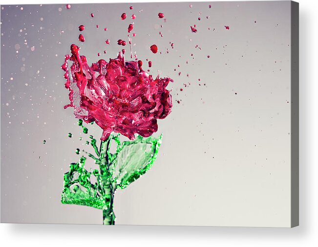 Motion Acrylic Print featuring the photograph Splash Of Rose by Yugus