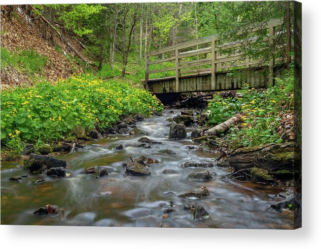 Footsore Fotography Acrylic Print featuring the photograph Spring at Munising Creek by Gary McCormick