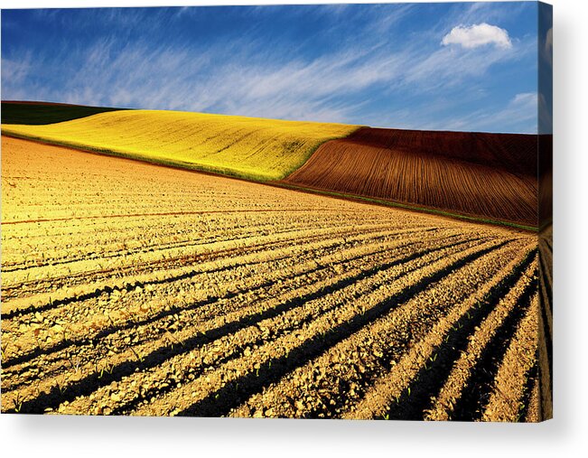 Furrows Acrylic Print featuring the photograph Spring Fields by Evgeni Dinev