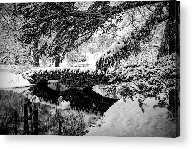 B&w Acrylic Print featuring the photograph Spring Grove in the Snow by Ed Taylor