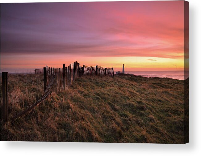 Grass Acrylic Print featuring the photograph St Marys Lighthouse, Whitley Bay by Tom Hill
