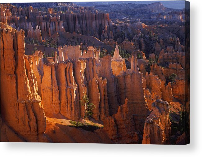 Architectural Column Acrylic Print featuring the photograph Steep Canyon With Tree In Front by Design Pics