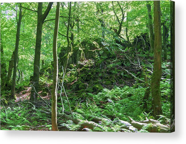 Forest Acrylic Print featuring the photograph Stones in a forest in Vogelsberg by Sun Travels