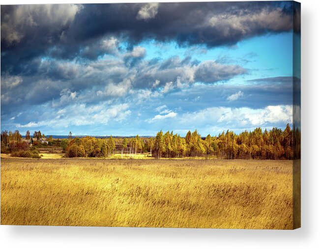Scenics Acrylic Print featuring the photograph Storm Clouds Over Autumn Field by Mordolff
