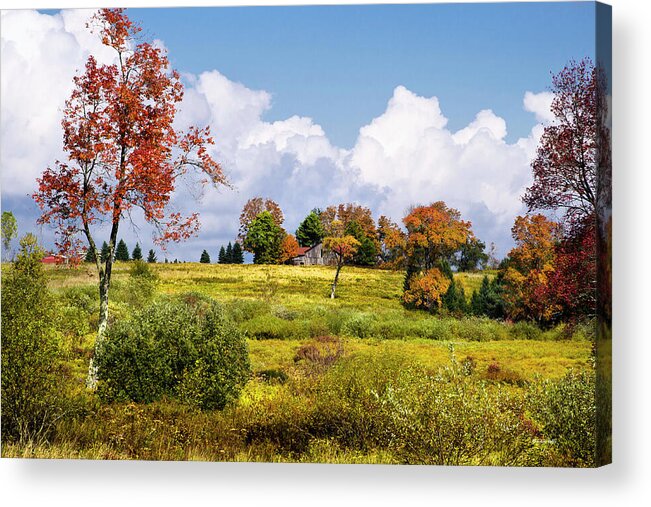 Landscape Acrylic Print featuring the photograph Fall Trees On Country Landscape by Christina Rollo