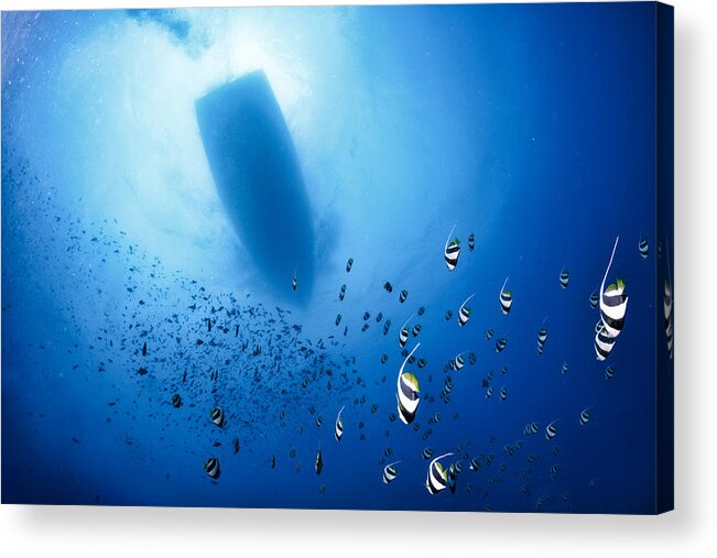 Underwater Acrylic Print featuring the photograph Storm by Roberto Marchegiani