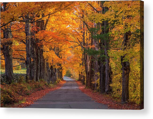 Sugar Acrylic Print featuring the photograph Sugar Hill Autumn Maple Road by White Mountain Images