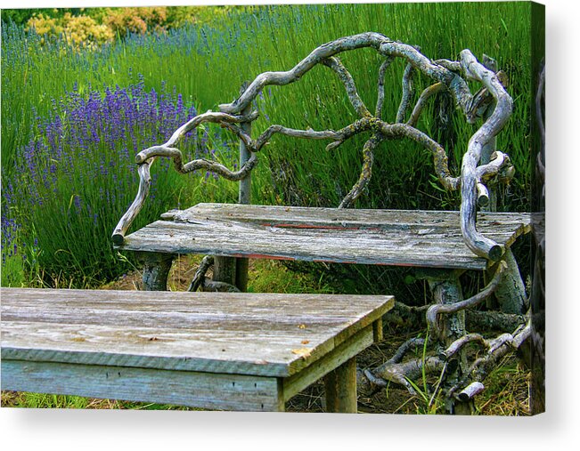 Pacific Northwest Acrylic Print featuring the photograph Summer afternoon at a lavender garden by Leslie Struxness