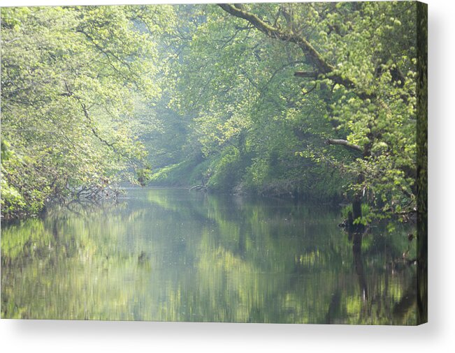 Landscape Acrylic Print featuring the photograph Summer time river and trees - landscape by Anita Nicholson