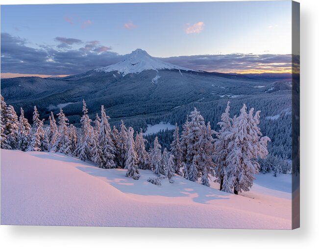 #mt Hood Acrylic Print featuring the photograph Sun-kissed by Jin Park