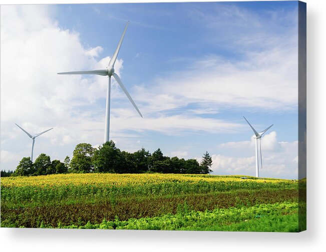 Environmental Conservation Acrylic Print featuring the photograph Sunflower Field With Wind Turbines by Kwphotobox