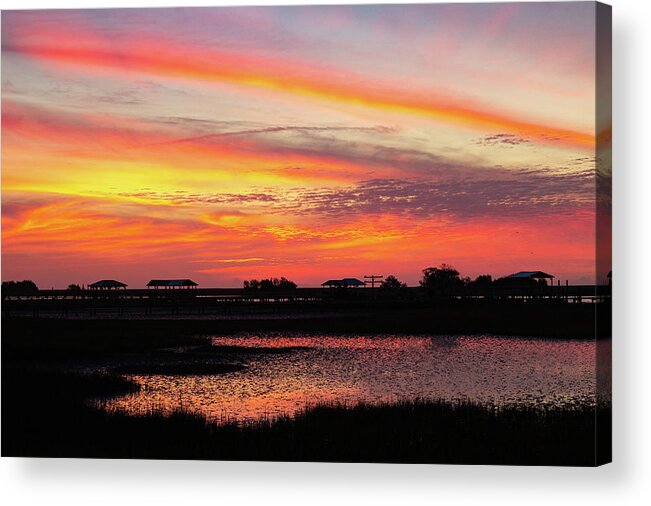 Sunrise Acrylic Print featuring the photograph Sunrise in Awendaw by Patricia Schaefer