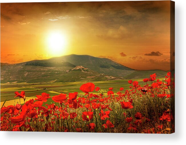 Tranquility Acrylic Print featuring the photograph Sunrise Over Poppies Field by Buena Vista Images