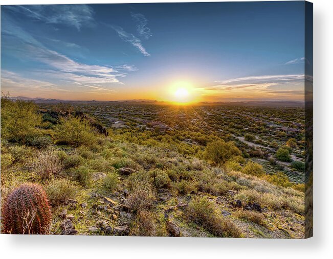 Tranquility Acrylic Print featuring the photograph Sunset Cactus by Cebimagery.com