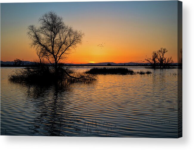 California Acrylic Print featuring the photograph Sunset in the Refuge by Cheryl Strahl