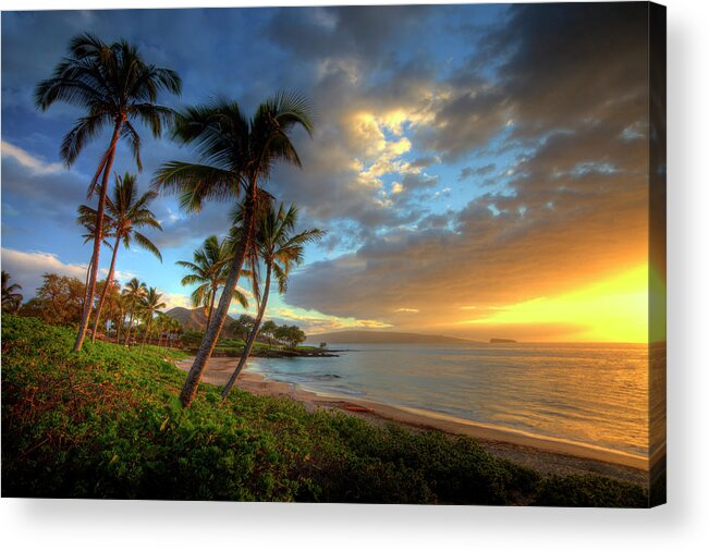 Scenics Acrylic Print featuring the photograph Sunset Near Makena With Tropical Palm by Darrell Gulin