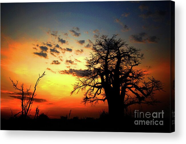Africa Acrylic Print featuring the photograph sunset on the Zambezi by Darcy Dietrich