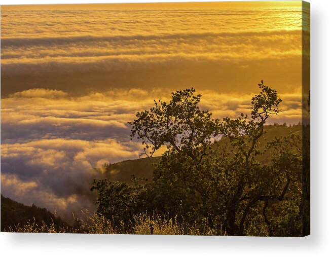 Clouds Acrylic Print featuring the photograph Sunset over the clouds, Los Padres National Forest, California by Julieta Belmont