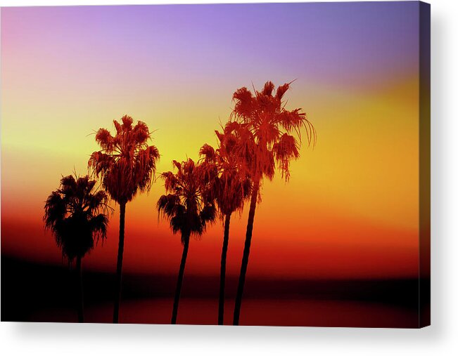 Palm Trees Acrylic Print featuring the photograph Sunset Palm Trees- Art by Linda Woods by Linda Woods