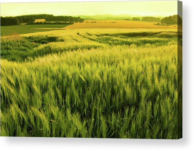 Non-urban Scene Acrylic Print featuring the photograph Sunshine Over A Wheat Field by Nikada