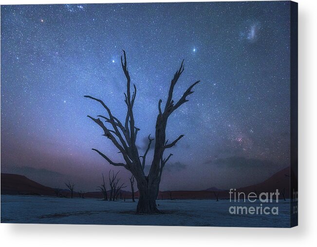 Scenics Acrylic Print featuring the photograph Surreal Landscape Of Deadvlei by Singhaphanallb