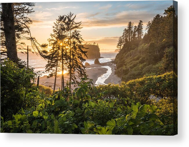 Olympic National Park Acrylic Print featuring the photograph Take Me To The Beach by Syed Iqbal