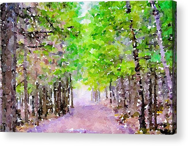 Painting Acrylic Print featuring the mixed media Take Me to the Forest #2 by Susan Rydberg
