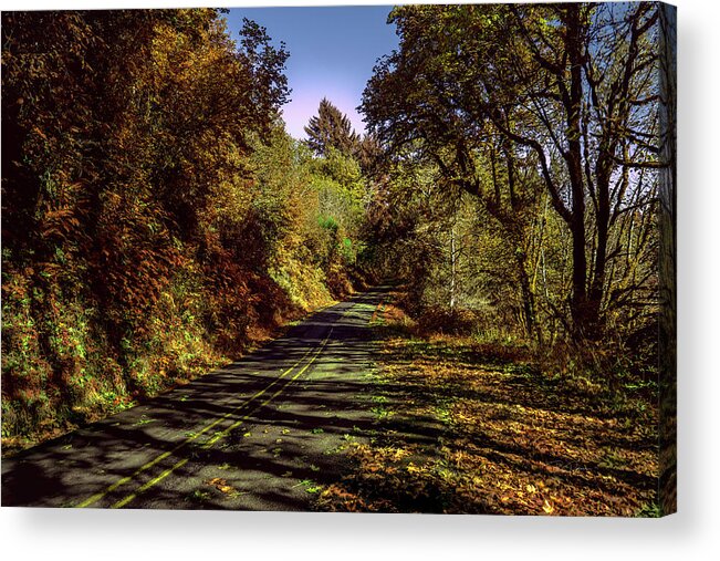 Coastalforest Acrylic Print featuring the photograph Take the Road by Bill Posner