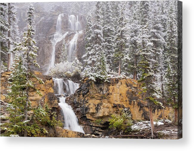 Jeff Foott Acrylic Print featuring the photograph Tangle Creek Falls In Jasper National Park by Jeff Foott