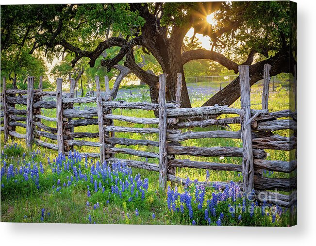 America Acrylic Print featuring the photograph Texas Fence by Inge Johnsson