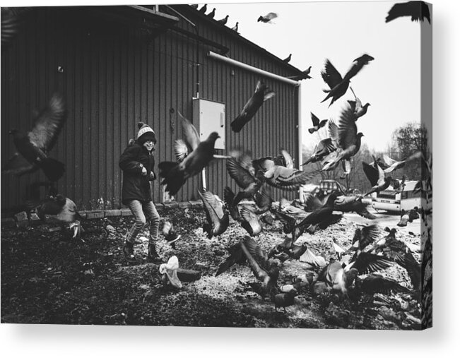 Boy Acrylic Print featuring the photograph The Boy & The Birds by Alex Ogazzi