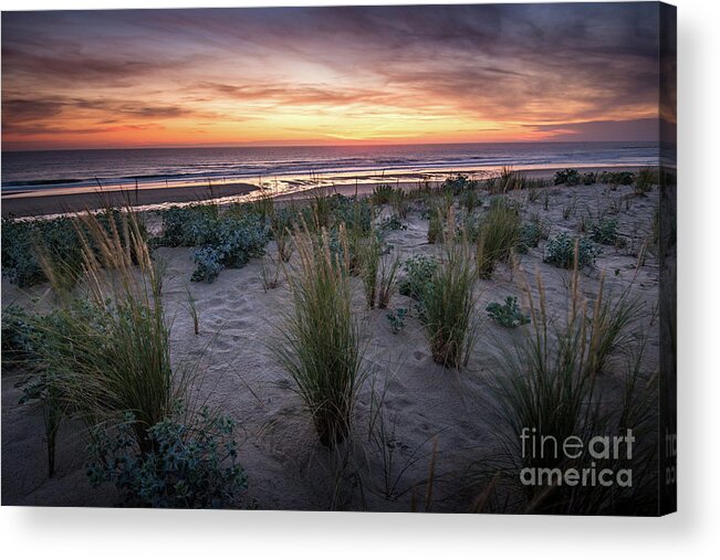 Natural Landscape Acrylic Print featuring the photograph The Dunes In The Sunset Light by Hannes Cmarits