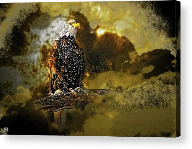 Eagle Acrylic Print featuring the photograph The Eagle by Andrew Zydell