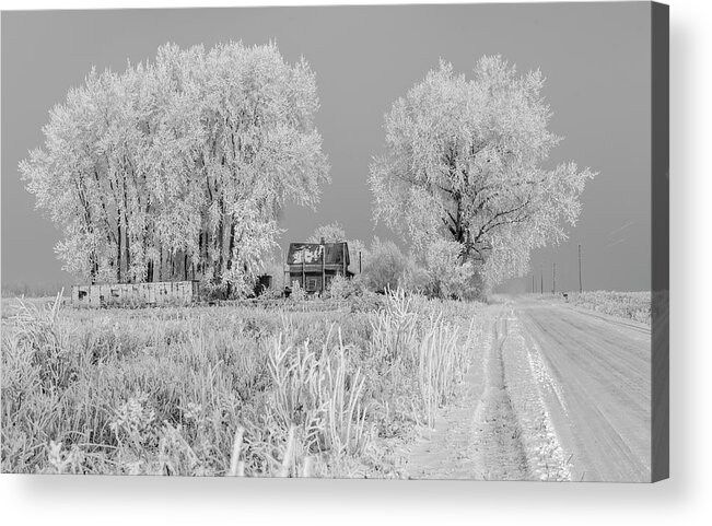 Hoar Frost Acrylic Print featuring the photograph The Junkyard 2018-1 by Thomas Young