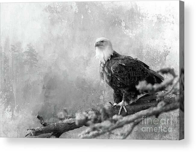 Raptor Acrylic Print featuring the photograph The King of Birds - BW by Beve Brown-Clark Photography