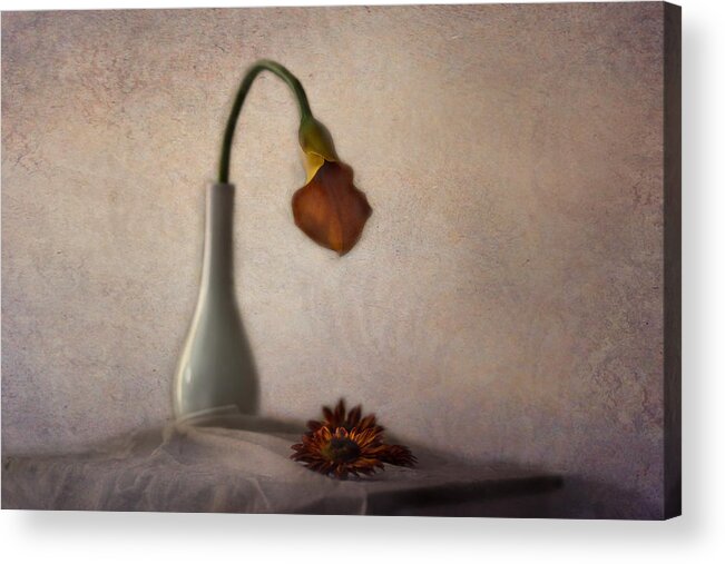 Stilllife Acrylic Print featuring the photograph The Look by Kavian Mashayekhi